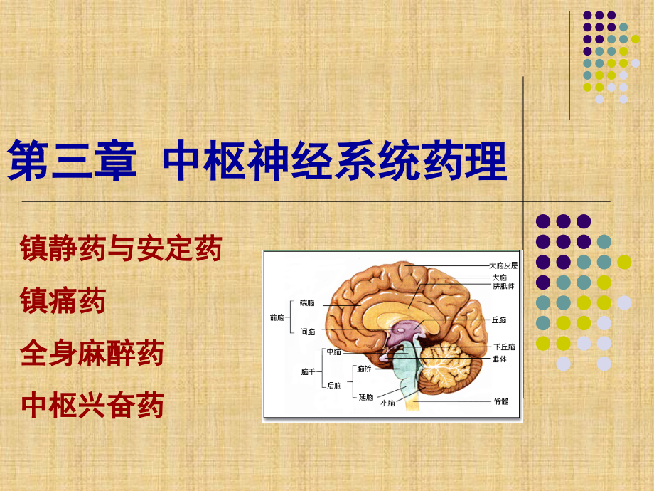 药理学第三章中枢神经系统药理课件_第1页