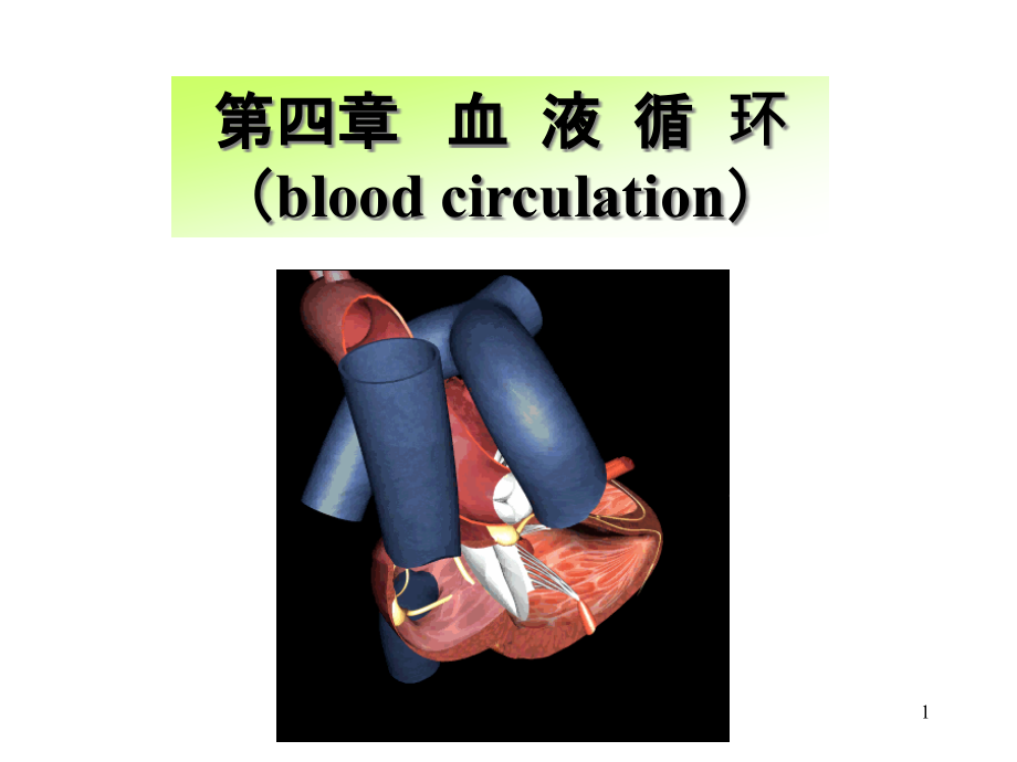 生理学血液循环心脏泵血功能课件_第1页