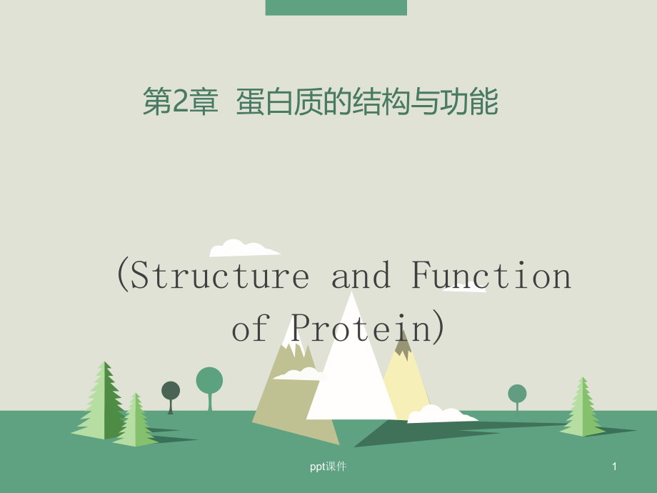 蛋白质的结构与功能--课件_第1页