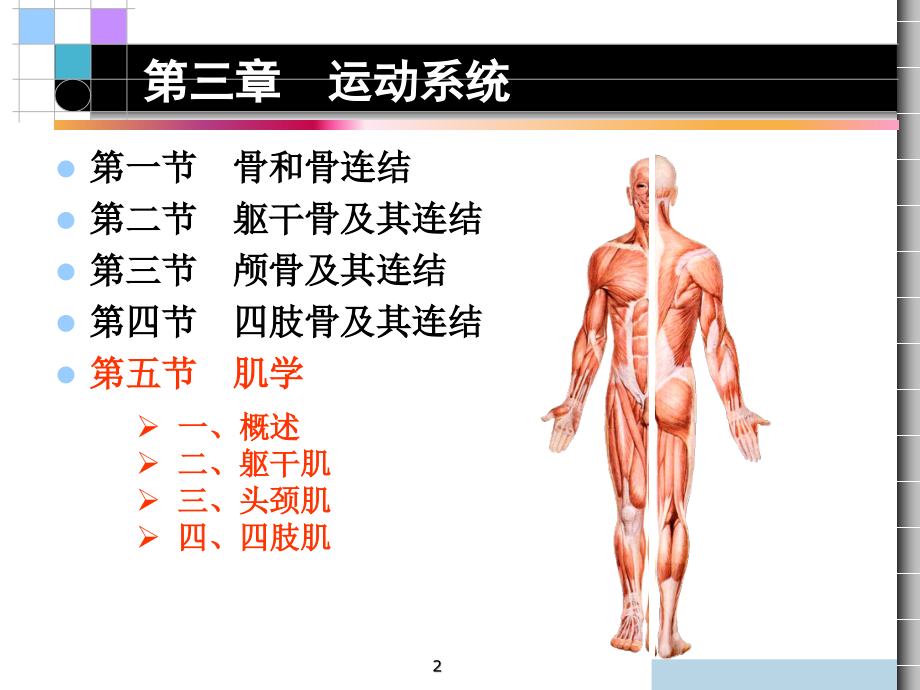 -运动系统肌学课件_第1页