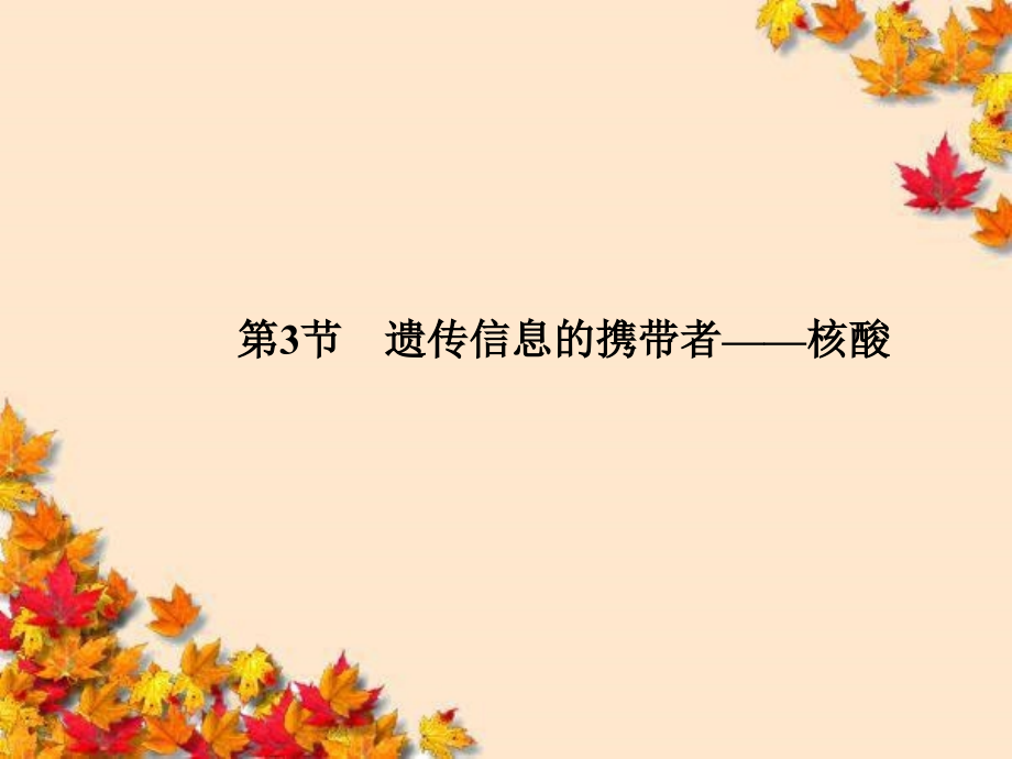 高效课堂同步ppt课件23遗传信息的携带者_第1页