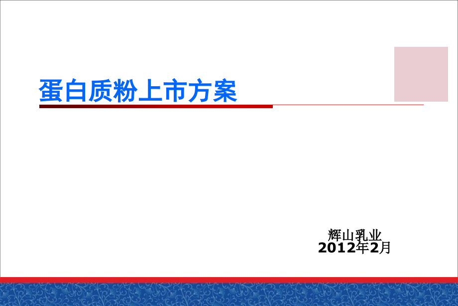 蛋白质粉上市方案课件_第1页