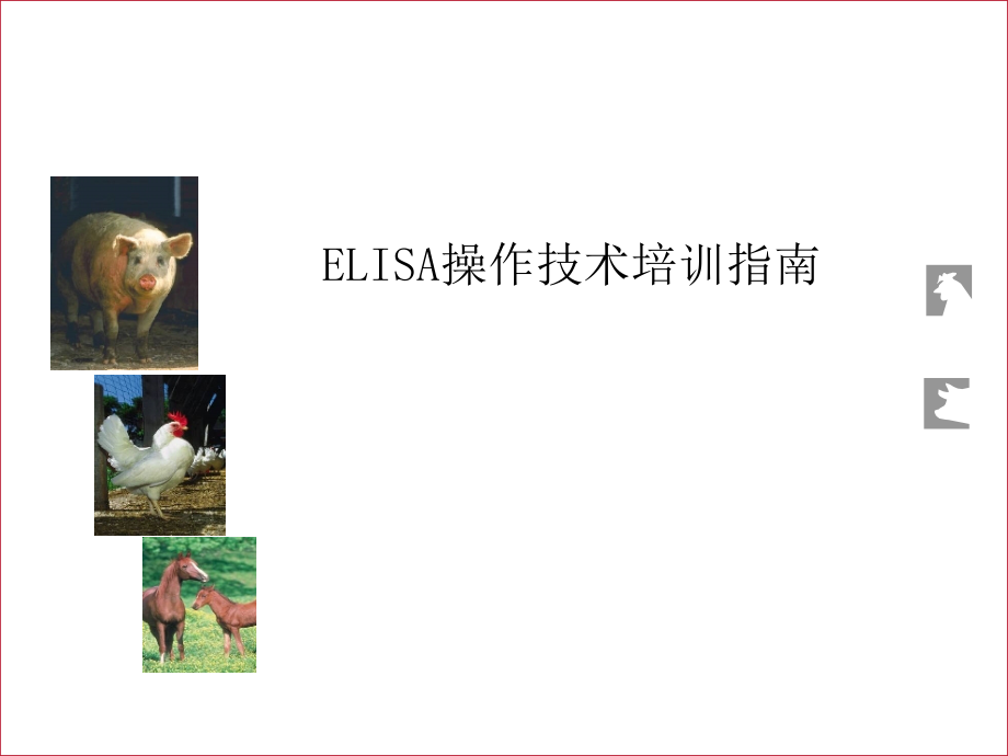 ELISA操作技术培训指南-课件_第1页