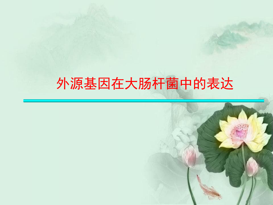 大肠杆菌表达系统_第1页