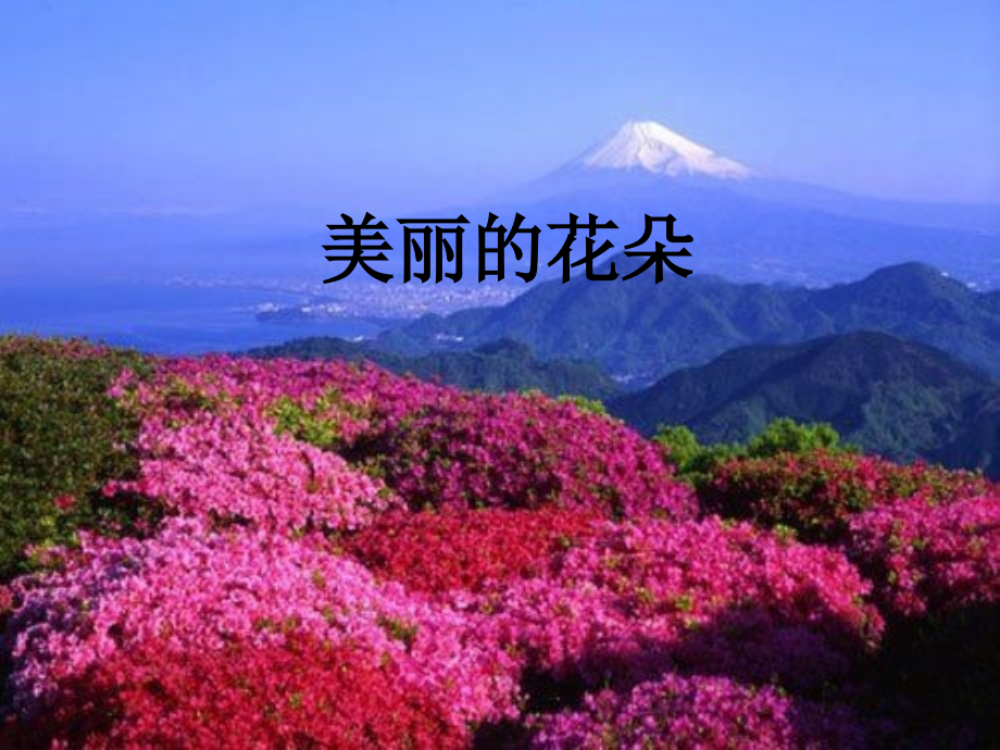 _美丽花朵_课件_第1页