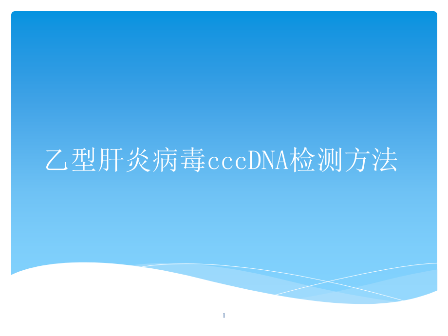 乙型肝炎病毒cccDNA检测方法课件_第1页