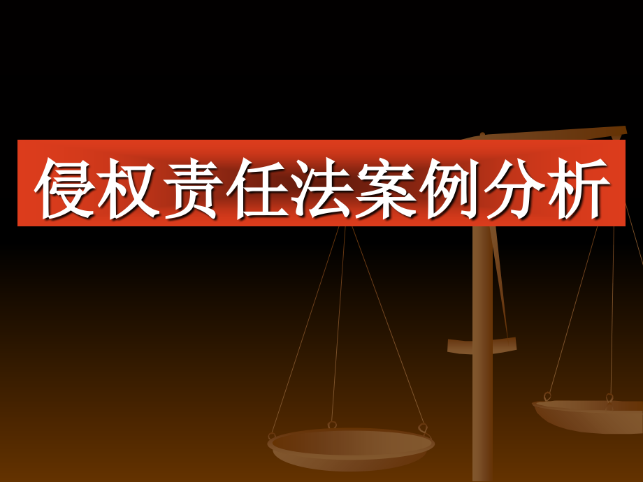 侵权责任法案例分析 课件_第1页