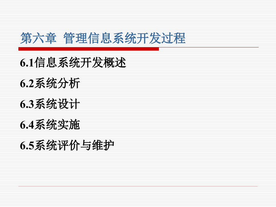 管理信息系统开发过程课件_第1页