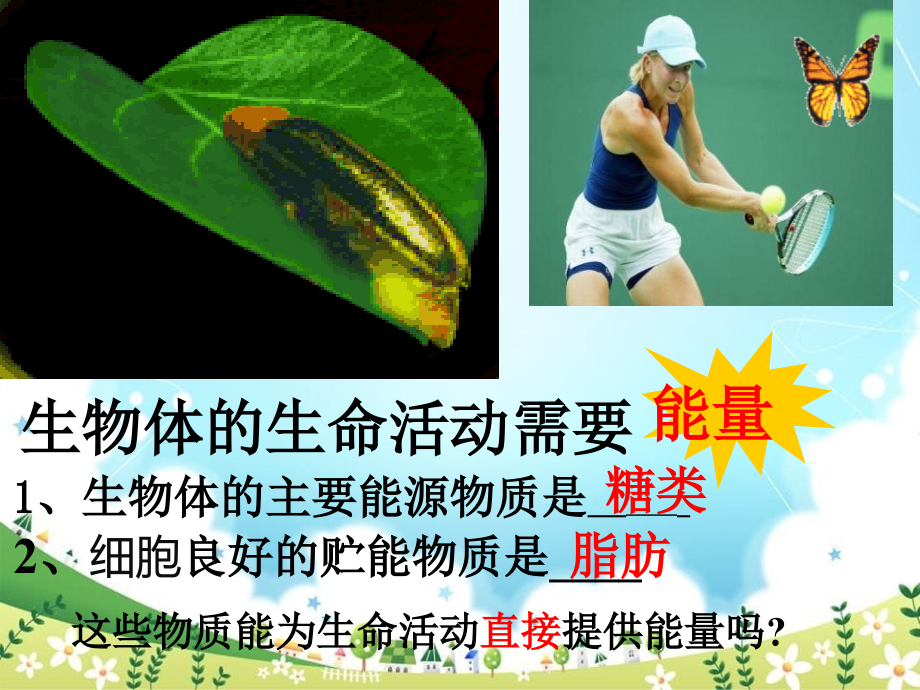 ATP-细胞的能量通货_第1页