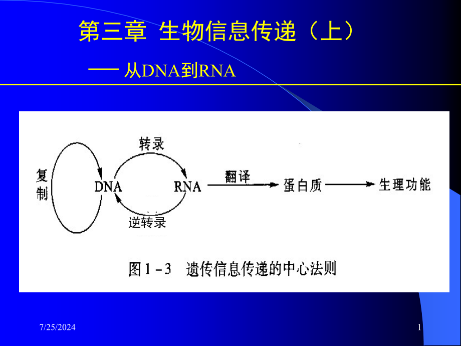 -生物信息传递(上)-从DNA到RNA课件_第1页