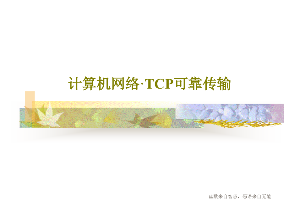 计算机网络·TCP可靠传输教学课件_第1页