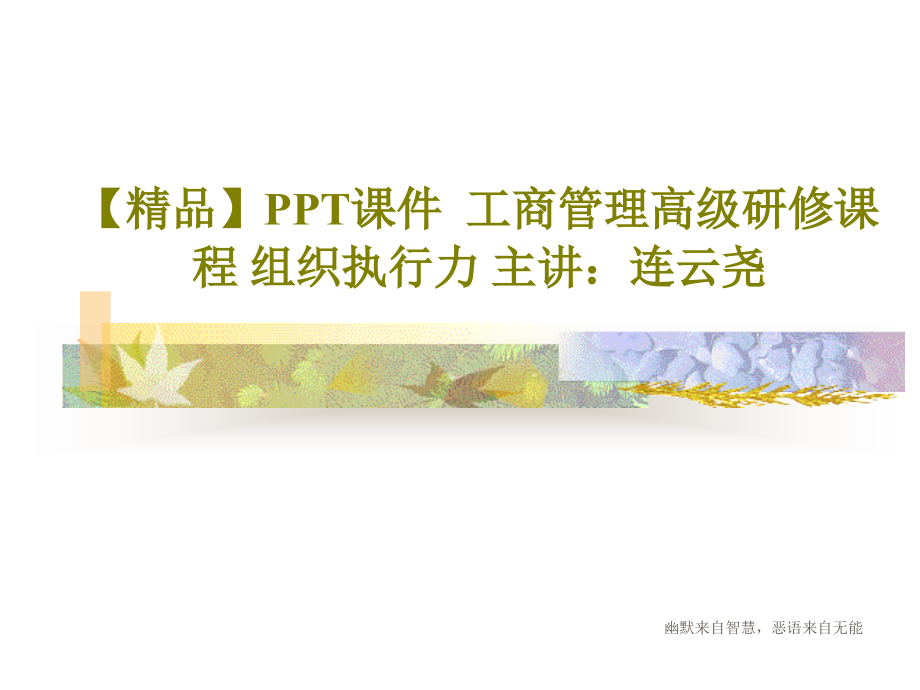 课件--工商管理高级研修课程-组织执行力-主讲：连云尧_第1页