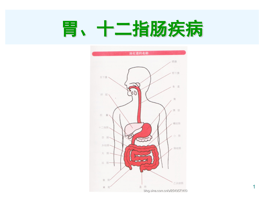 胃和十二指肠疾病课件_第1页