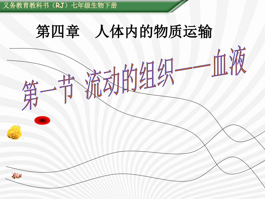 (RJ) 七年级生物下册-流动的组织——血液_第1页