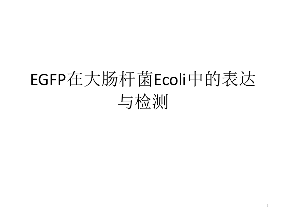 EGFP在大肠杆菌Ecoli中的表达与检测课件_第1页