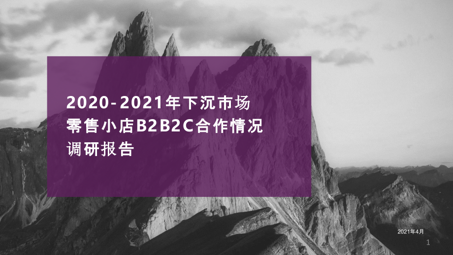 2021年快消零售小店B2B2C合作情况调研报告课件_第1页