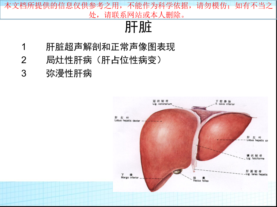 超声诊疗学肝胆胰脾培训课件_第1页