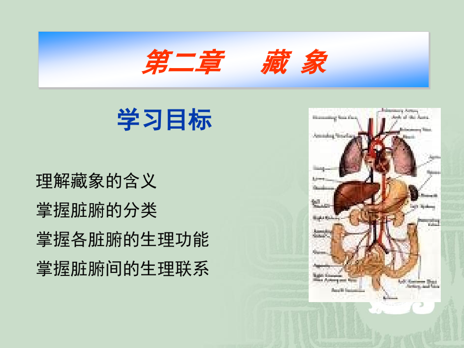 药物学12脏象课件_第1页