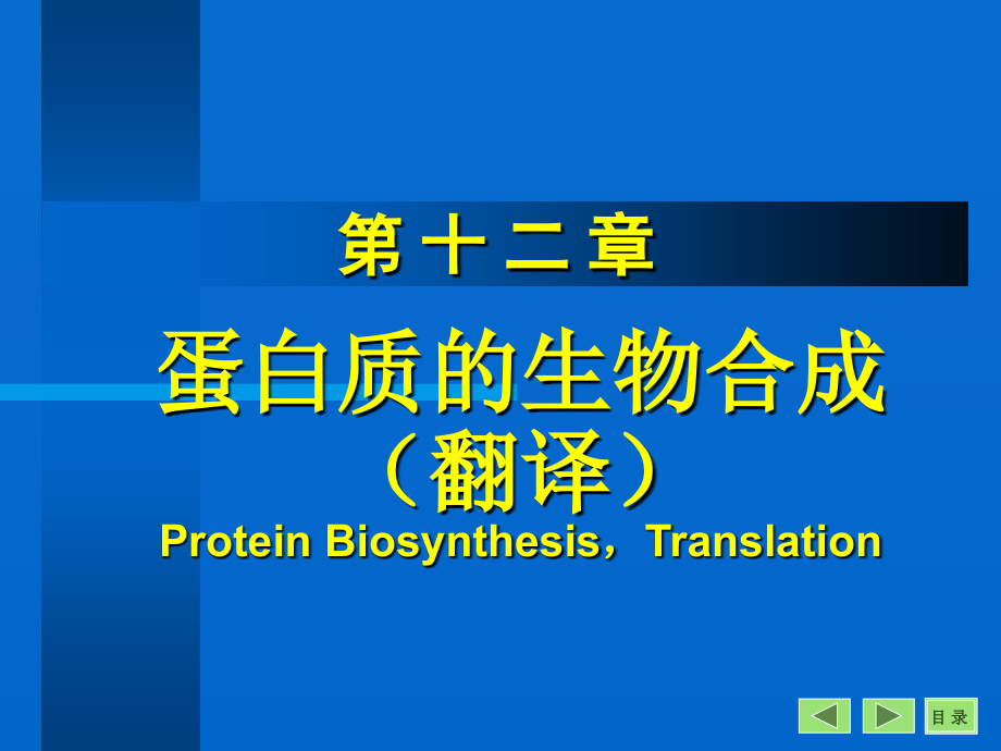 蛋白质的生物合成教学课件22_第1页