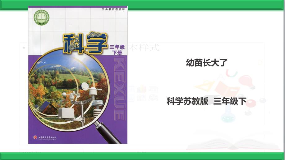 苏教版三年级下册《科学》12《幼苗长大了》课件_第1页