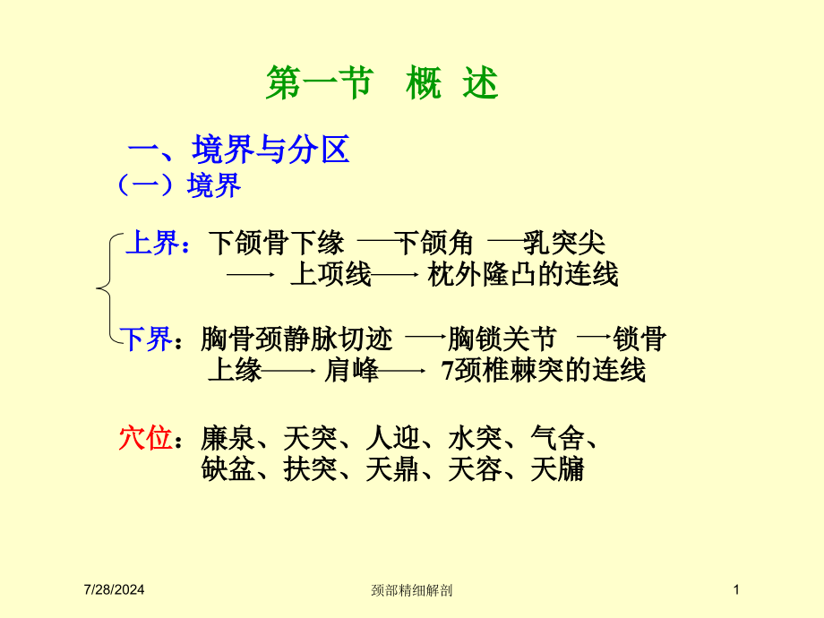 颈部精细解剖培训课件1_第1页