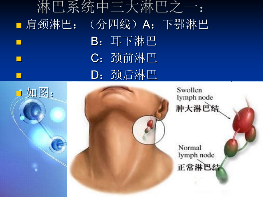 淋巴风暴课件_第1页