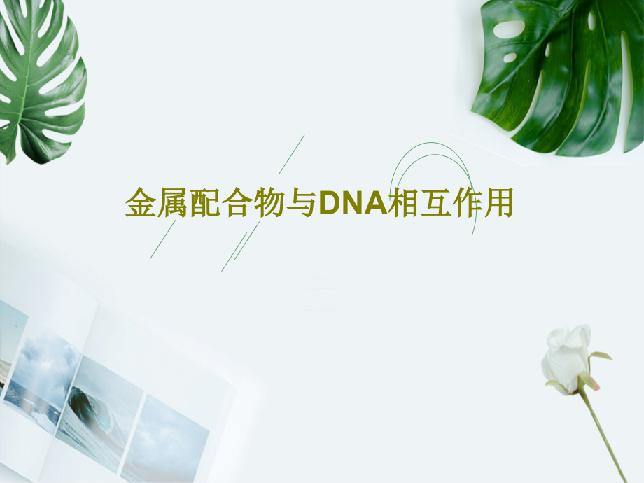 金属配合物与DNA相互作用教学课件_第1页