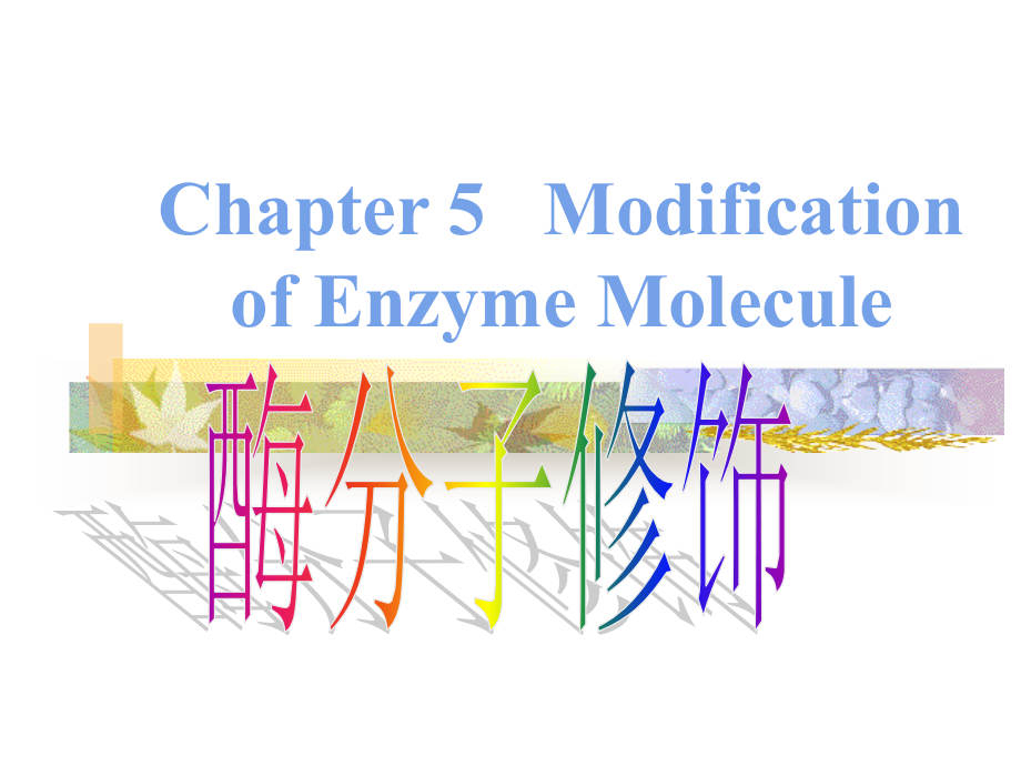 第五章-酶分子修饰课件_第1页