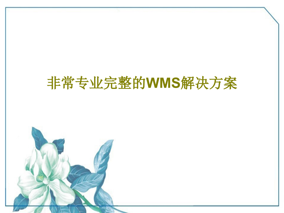 非常专业完整的WMS解决方案教学课件_第1页