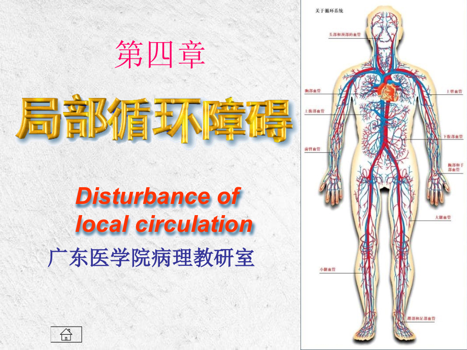 局部血液及体液循环障碍_第1页