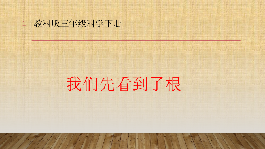 教科版三年级科学下册《植物的生长变化我们先看到了根》公开课ppt课件_第1页