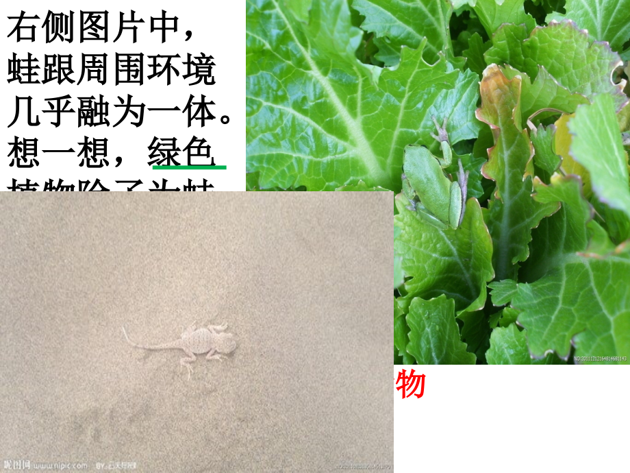 绿色植物是生物圈中有机物的制造者课件_第1页