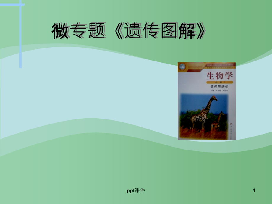 高三生物-微专题-遗传图解复习公开课课件_第1页