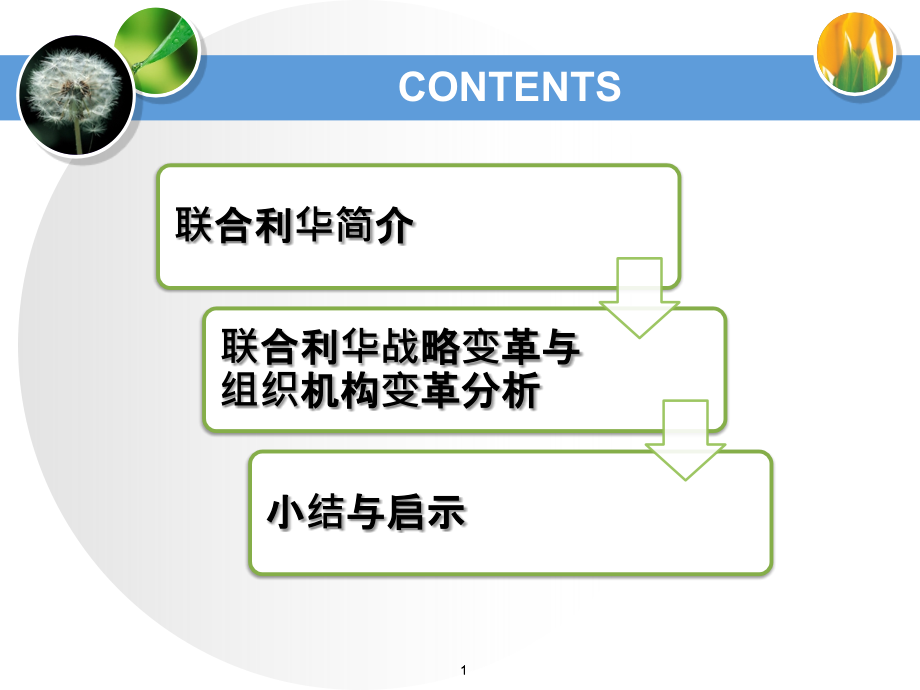 联合利华战略与组织结构变革课件_第1页