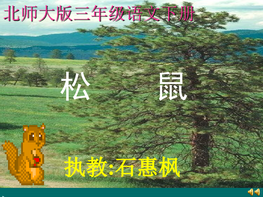 《松鼠》石惠枫 (2)课件_第1页