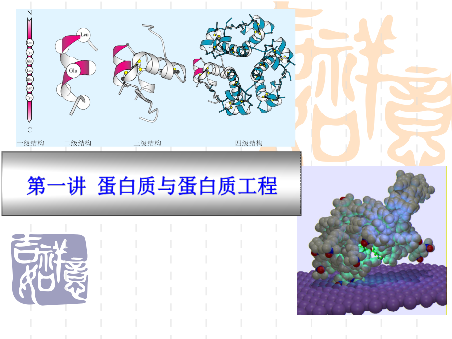 酶与蛋白质工程第1章蛋白质与蛋白质工程讲述课件_第1页