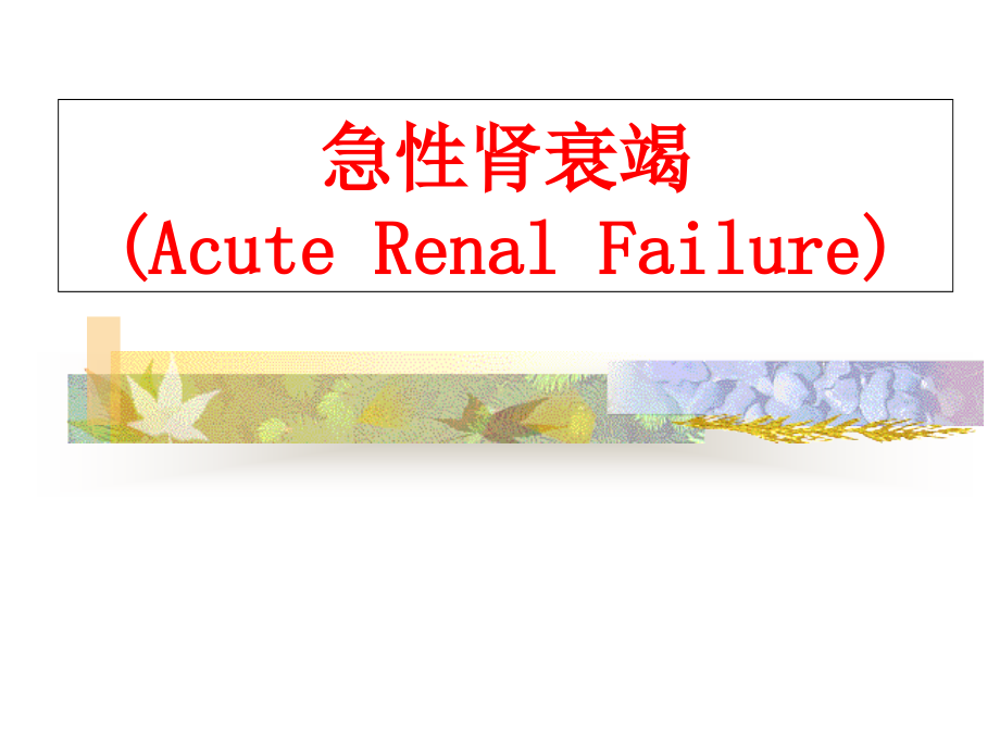 急性肾功能衰竭(Acute-Renal-Failure)课件_第1页