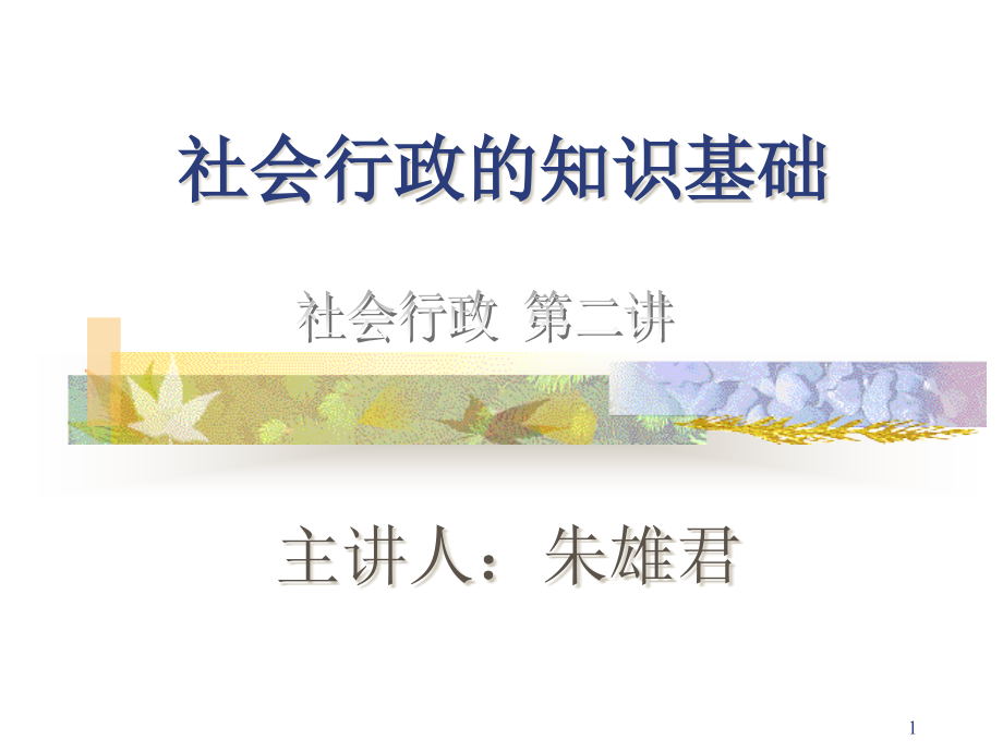 社会行政的知识基础ppt课件_第1页