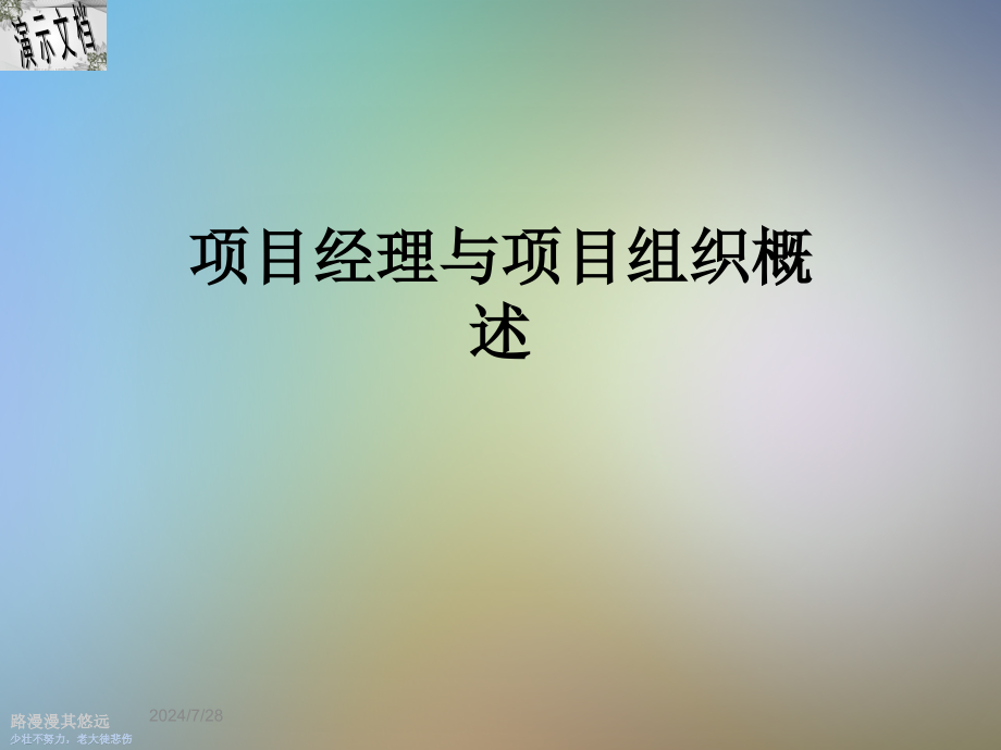 项目经理与项目组织概述课件_第1页