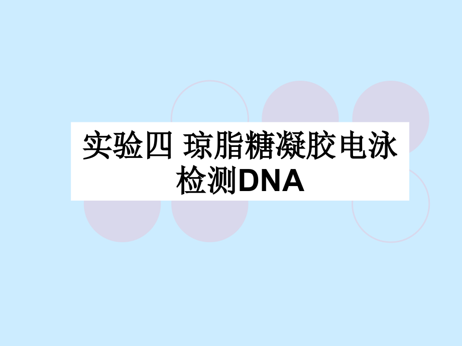 实验4-琼脂糖凝胶电泳检测DNA-2010_第1页