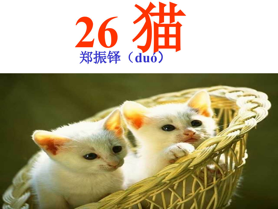 郑振铎猫课件_第1页