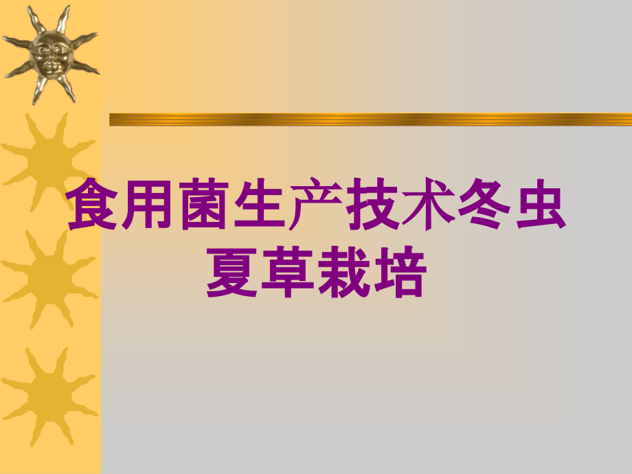 食用菌生产技术冬虫夏草栽培培训课件_第1页