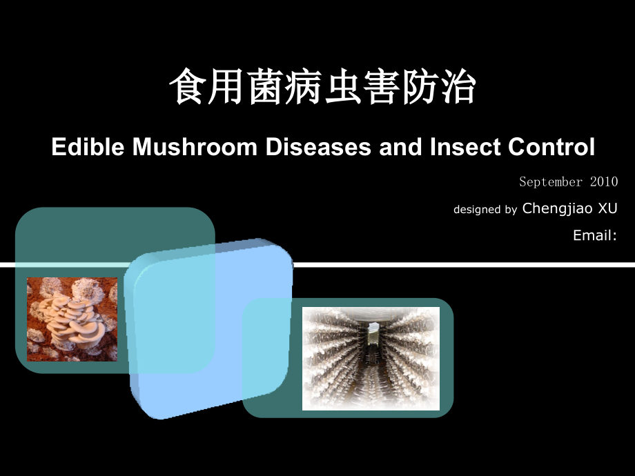 食用菌病虫害防治-课件_第1页