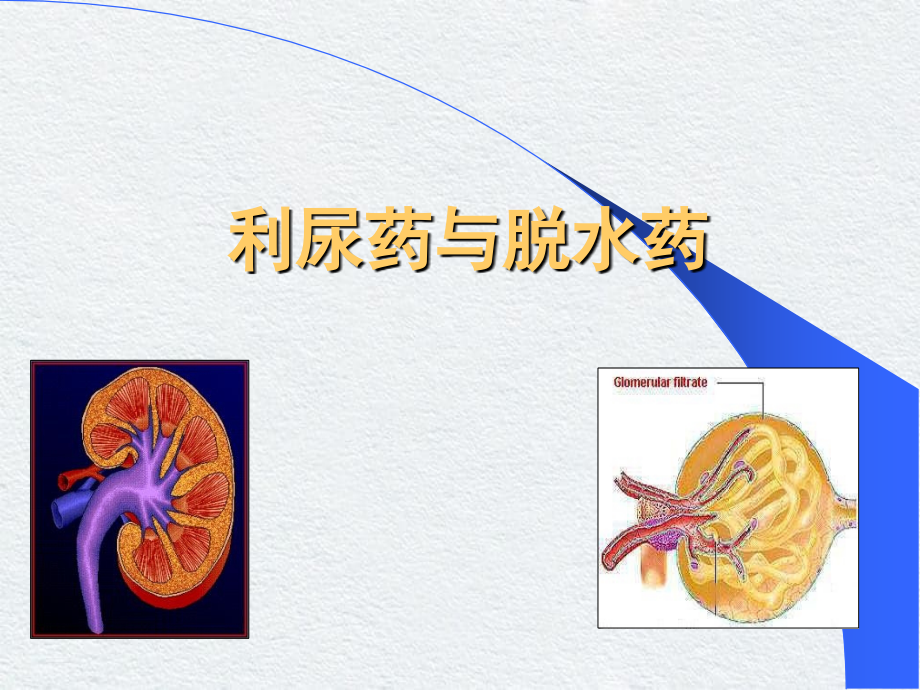 利尿药与脱水药上课_第1页