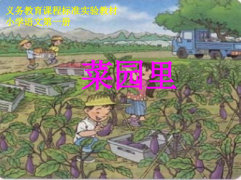 《识字二·菜园里》课件_第1页