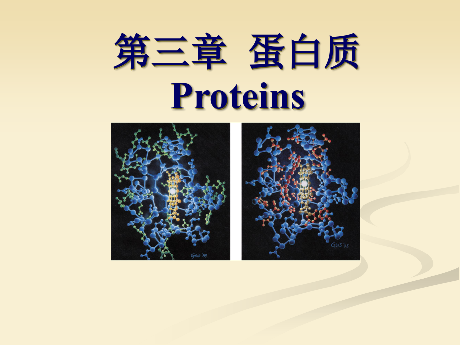 食品生物化学第3章-蛋白质课件_第1页