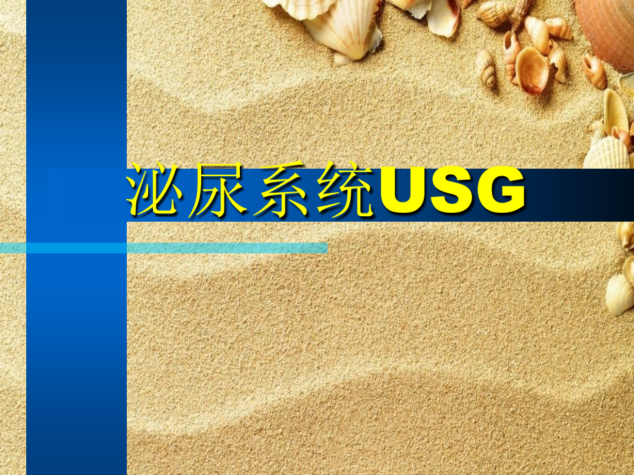 泌尿系统 USG泌尿B超_第1页