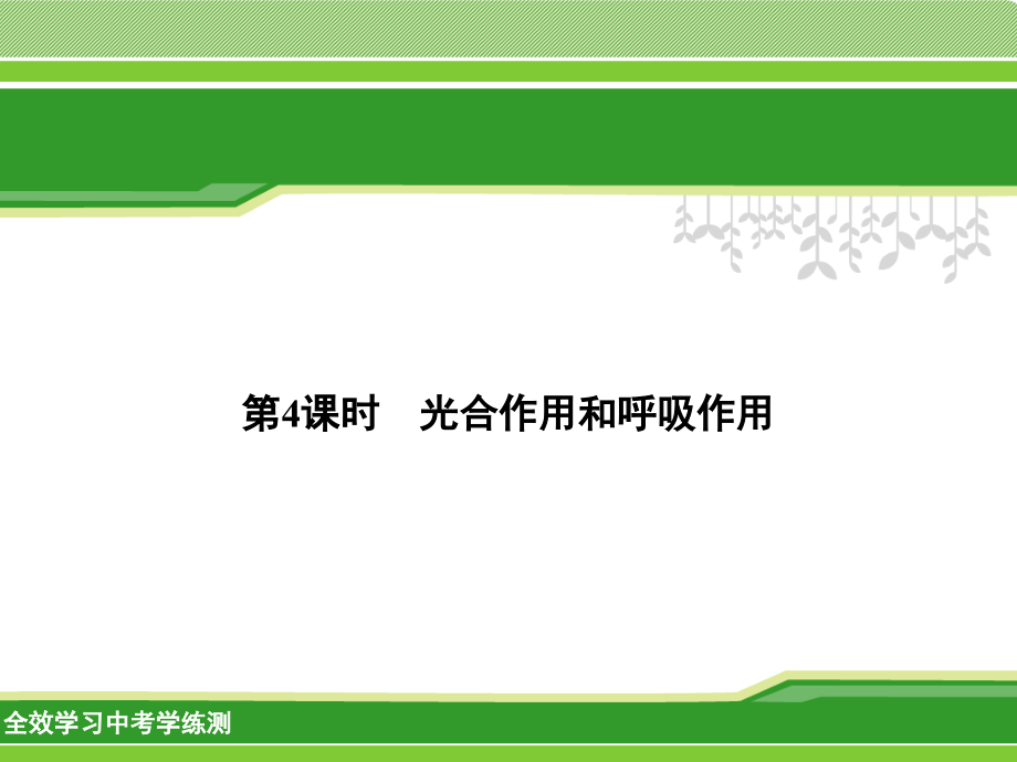 中考科学一轮复习光合作用及呼吸作用课件_第1页