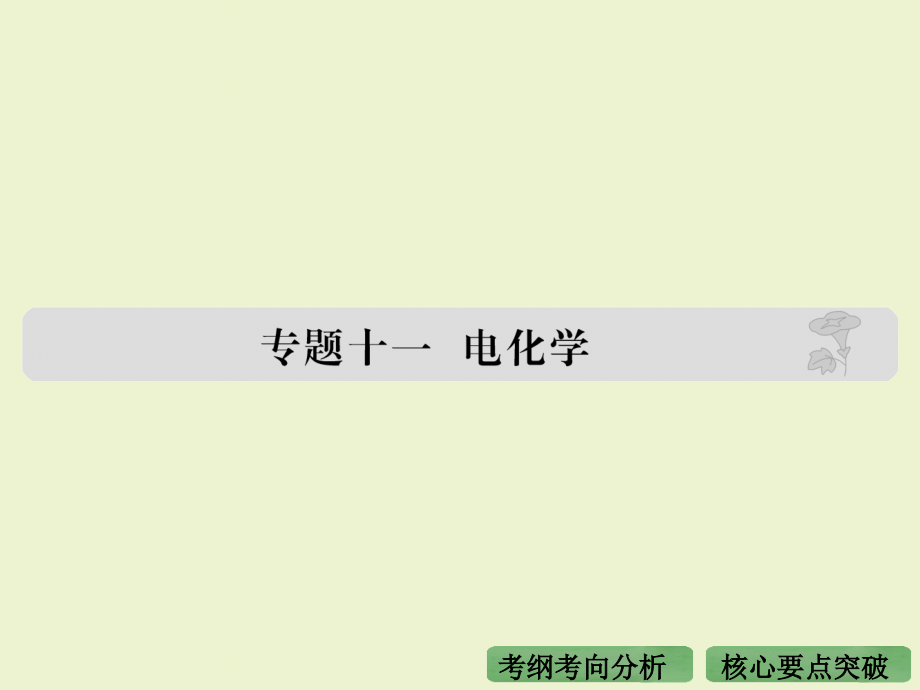 高考化学(全国通用)专题11电化学解析课件_第1页