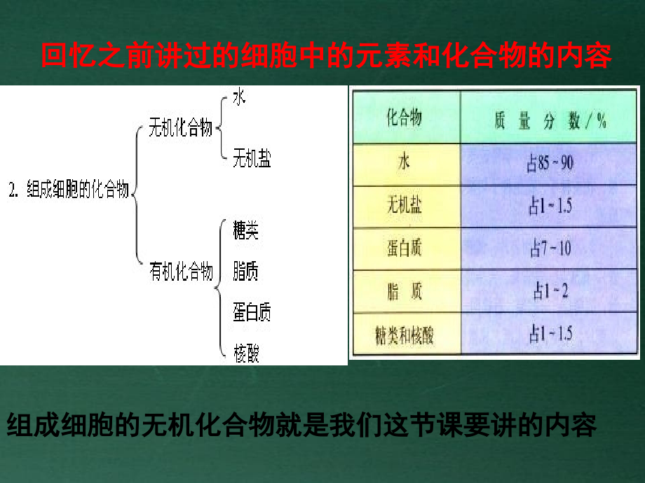 细胞中的无机物说课_第1页